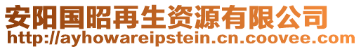 安陽國昭再生資源有限公司
