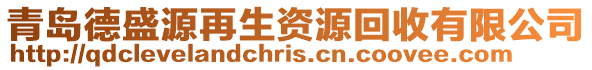 青島德盛源再生資源回收有限公司