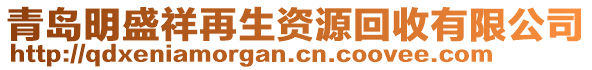 青島明盛祥再生資源回收有限公司