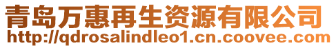 青島萬惠再生資源有限公司