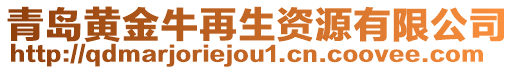 青島黃金牛再生資源有限公司