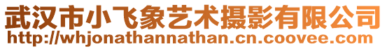 武漢市小飛象藝術攝影有限公司