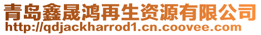 青島鑫晟鴻再生資源有限公司
