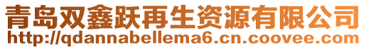 青島雙鑫躍再生資源有限公司