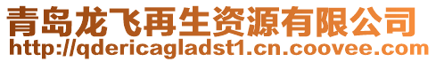 青島龍飛再生資源有限公司