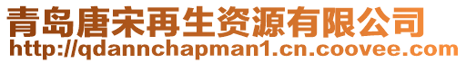 青島唐宋再生資源有限公司