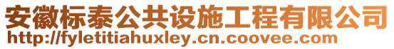 安徽標(biāo)泰公共設(shè)施工程有限公司