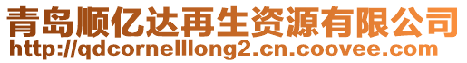 青島順億達再生資源有限公司