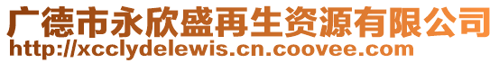 廣德市永欣盛再生資源有限公司