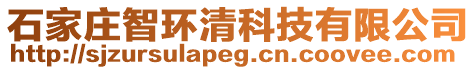 石家莊智環清科技有限公司