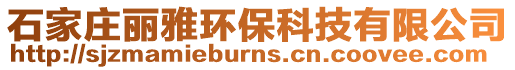 石家莊麗雅環保科技有限公司