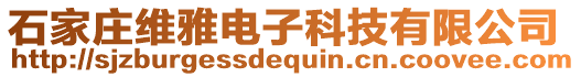 石家庄维雅电子科技有限公司