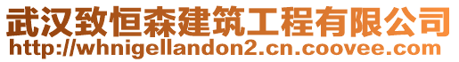 武漢致恒森建筑工程有限公司