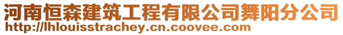 河南恒森建筑工程有限公司舞陽分公司