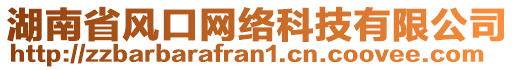 湖南省風(fēng)口網(wǎng)絡(luò)科技有限公司