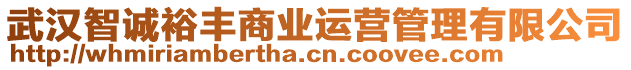 武漢智誠裕豐商業(yè)運(yùn)營管理有限公司