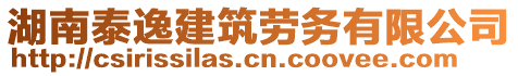 湖南泰逸建筑勞務(wù)有限公司