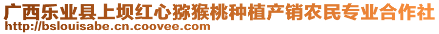 廣西樂業縣上壩紅心獼猴桃種植產銷農民專業合作社