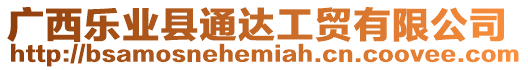 廣西樂業縣通達工貿有限公司