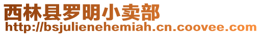 西林縣羅明小賣部