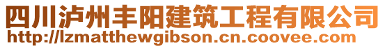 四川瀘州豐陽建筑工程有限公司
