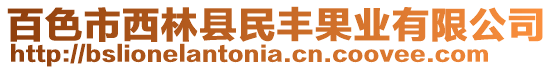 百色市西林縣民豐果業(yè)有限公司