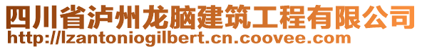 四川省瀘州龍腦建筑工程有限公司