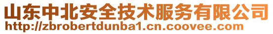 山東中北安全技術服務有限公司