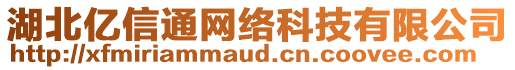 湖北億信通網(wǎng)絡(luò)科技有限公司