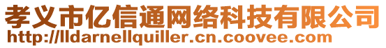孝義市億信通網絡科技有限公司