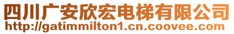四川廣安欣宏電梯有限公司