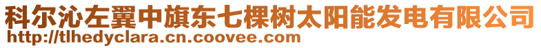 科爾沁左翼中旗東七棵樹太陽能發電有限公司