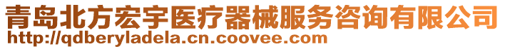 青島北方宏宇醫療器械服務咨詢有限公司