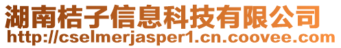 湖南桔子信息科技有限公司