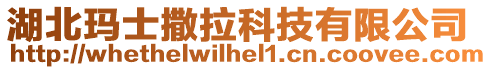 湖北瑪士撒拉科技有限公司
