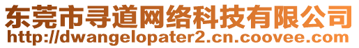 東莞市尋道網(wǎng)絡(luò)科技有限公司