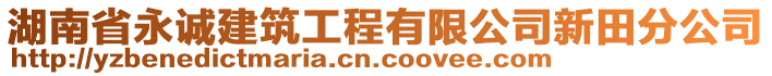 湖南省永诚建筑工程有限公司新田分公司