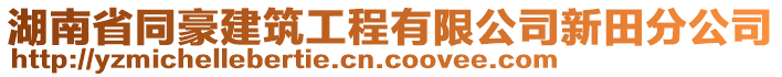 湖南省同豪建筑工程有限公司新田分公司