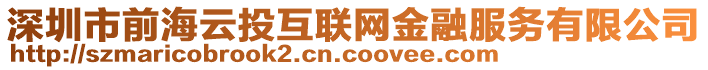 深圳市前海云投互联网金融服务有限公司