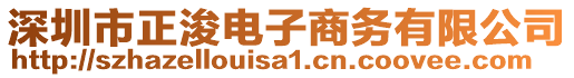 深圳市正浚电子商务有限公司