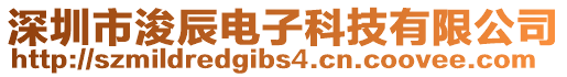 深圳市浚辰电子科技有限公司