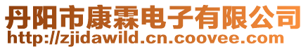 丹陽(yáng)市康霖電子有限公司