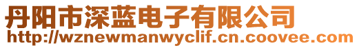 丹陽市深藍(lán)電子有限公司
