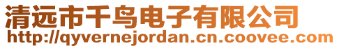 清遠(yuǎn)市千鳥(niǎo)電子有限公司