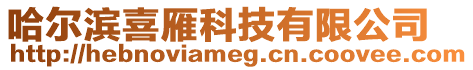 哈爾濱喜雁科技有限公司