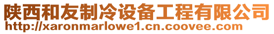 陜西和友制冷設備工程有限公司