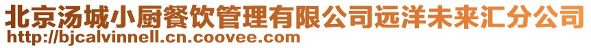 北京湯城小廚餐飲管理有限公司遠(yuǎn)洋未來(lái)匯分公司