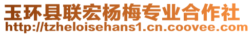 玉環(huán)縣聯(lián)宏楊梅專業(yè)合作社