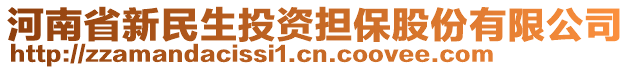 河南省新民生投资担保股份有限公司