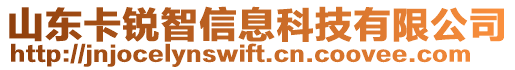 山東卡銳智信息科技有限公司